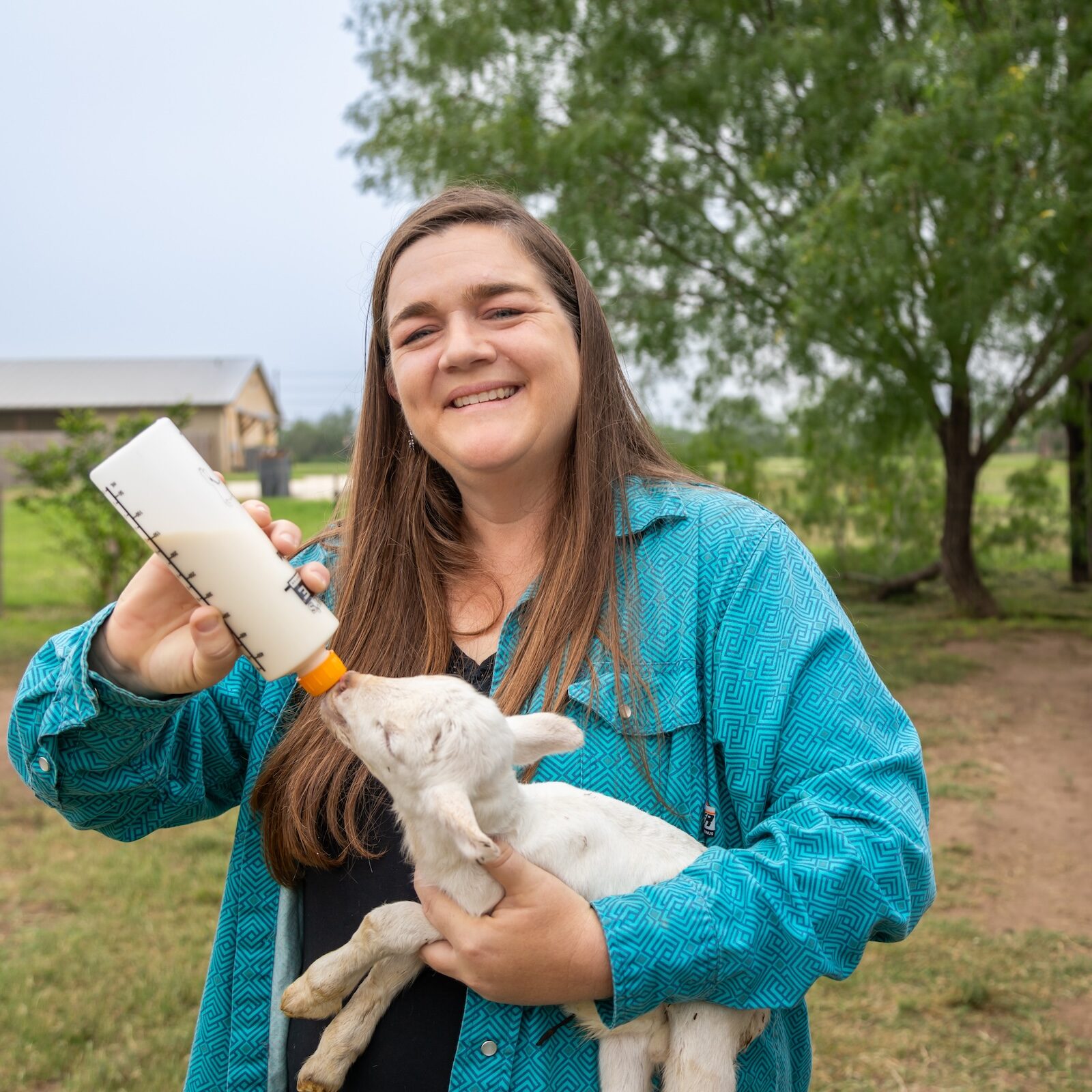 Amanda Bottle Lamb