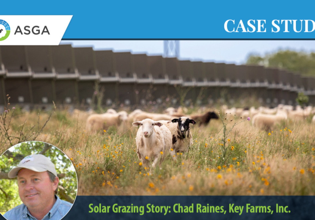 Chad Raines Case Study