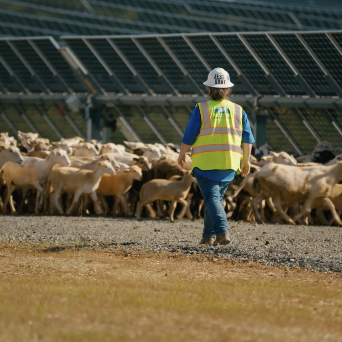 CleanShot 2026-03-17 at 22.27.45@2x