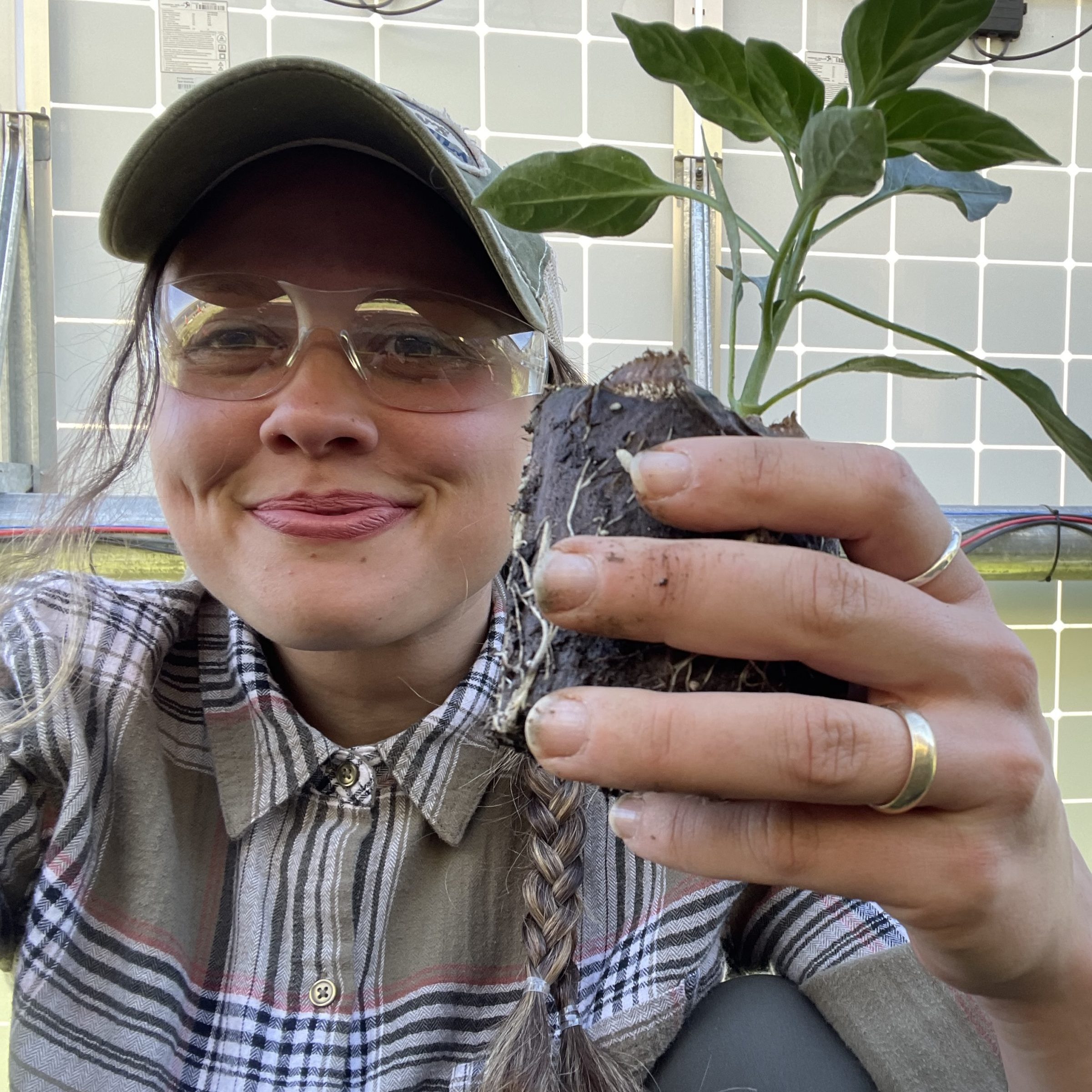 Pascaris-Agrivoltaics Photo